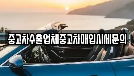 경기도 용인시 수지구 죽전동 중고차매입 전문 중고차수출업체중고차매입시세문의