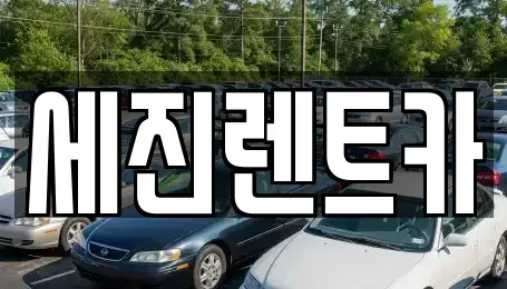 경기도 용인시 수지구 풍덕천동 렌트카 전문 세진렌트카