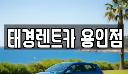 경기도 용인시 수지구 풍덕천동 렌트카 전문 태경렌트카 용인점