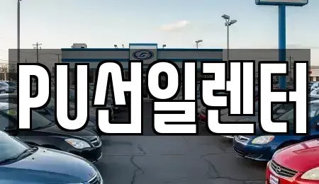 경기도 용인시 수지구 풍덕천동 장기렌트카 전문 PU선일렌터