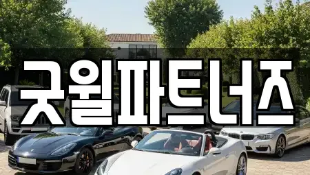 경기도 용인시 수지구 풍덕천동 장기렌트카 전문 굿윌파트너즈