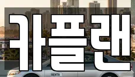 경기도 용인시 수지구 풍덕천동 장기렌트카 전문 카플랜