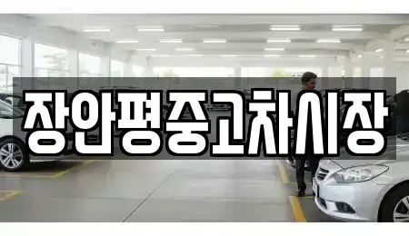 경기도 용인시 수지구 풍덕천동 중고차매매 전문 장안평중고차시장