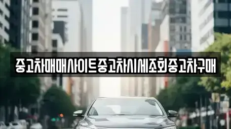 경기도 용인시 수지구 풍덕천동 중고차매매 전문 중고차매매사이트중고차시세조회중고차구매