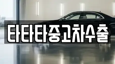경기도 용인시 수지구 풍덕천동 중고차매매 전문 타타타중고차수출
