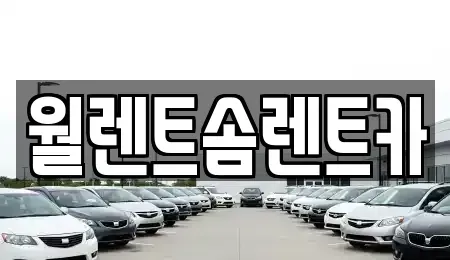 경기도 용인시 처인구 백암면 렌트카 전문 월렌트솜렌트카