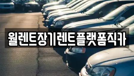 경기도 용인시 처인구 백암면 장기렌트카 전문 월렌트장기렌트플랫폼직카