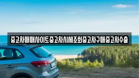 경기도 용인시 처인구 백암면 중고차매매 전문 중고차매매사이트중고차시세조회중고차구매중고차수출
