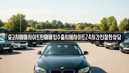 경기도 용인시 처인구 백암면 중고차매매 전문 중고차매매사이트판매매입수출시세사이트24시간친절한상담