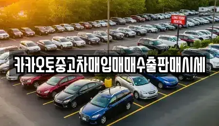 경기도 용인시 처인구 백암면 중고차매매 전문 카카오토중고차매입매매수출판매시세