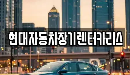 경기도 의왕시 내손동 장기렌트카 전문 현대자동차장기렌터카리스