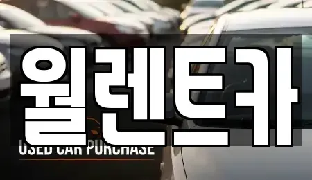 경기도 의왕시 왕곡동 렌트카 전문 월렌트카