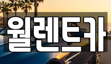경기도 의정부시 민락동 렌트카 전문 월렌트카