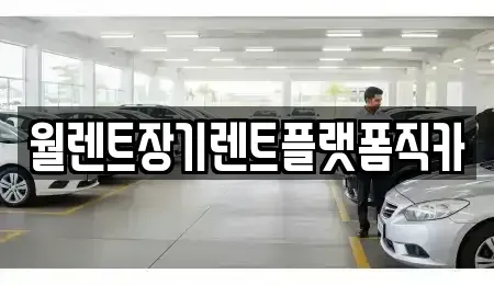 경기도 의정부시 민락동 장기렌트카 전문 월렌트장기렌트플랫폼직카