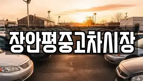 경기도 의정부시 민락동 중고차 전문 장안평중고차시장