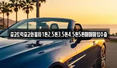 경기도 의정부시 민락동 중고차 전문 중고트럭중고화물차1톤2.5톤3.5톤4.5톤5톤매매매입수출