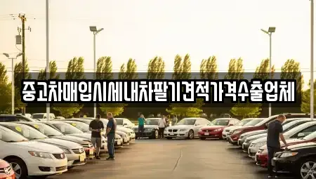 경기도 의정부시 민락동 중고차매입 전문 중고차매입시세내차팔기견적가격수출업체