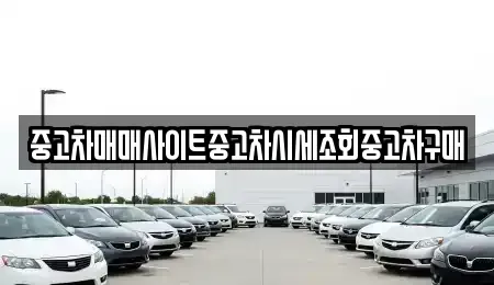 경기도 파주시 파평면 중고차 전문 중고차매매사이트중고차시세조회중고차구매
