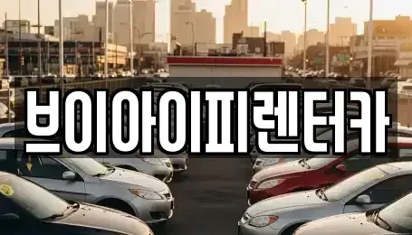 경기도 파주시 하지석동 렌트카 전문 브이아이피렌터카