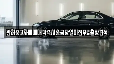 경기도 파주시 하지석동 중고차 전문 관허중고차매매매각즉시송금당일이전무료출장견적