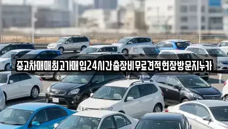 경기도 파주시 하지석동 중고차 전문 중고차매매최고가매입24시간출장비무료견적현장방문지누카