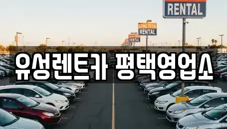 경기도 평택시 합정동 렌트카 전문 유성렌트카 평택영업소