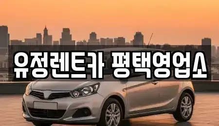 경기도 평택시 합정동 렌트카 전문 유정렌트카 평택영업소