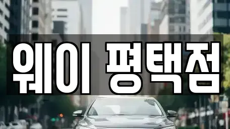 경기도 평택시 합정동 장기렌트카 전문 웨이 평택점