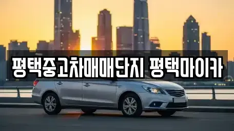 경기도 평택시 합정동 중고차 전문 평택중고차매매단지 평택마이카