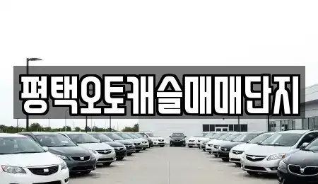 경기도 평택시 합정동 중고차매매 전문 평택오토캐슬매매단지