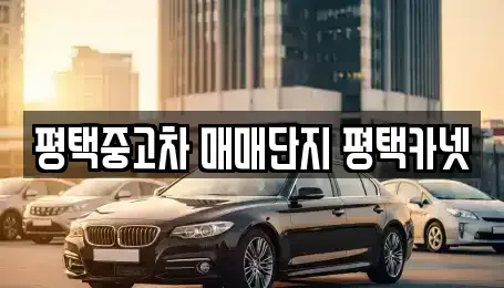 경기도 평택시 합정동 중고차매매,단기렌트카,중고차매입,장기렌트카,중고차,렌트카