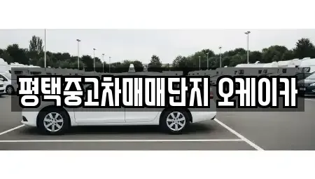 경기도 평택시 합정동 중고차매매 전문 평택중고차매매단지 오케이카