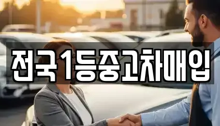 경기도 평택시 합정동 중고차매입 전문 전국1등중고차매입