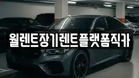 경기도 포천시 소흘읍 장기렌트카 전문 월렌트장기렌트플랫폼직카