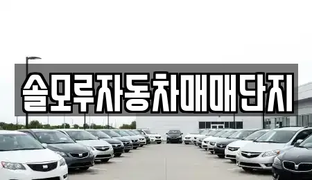 경기도 포천시 소흘읍 중고차매매 전문 솔모루자동차매매단지