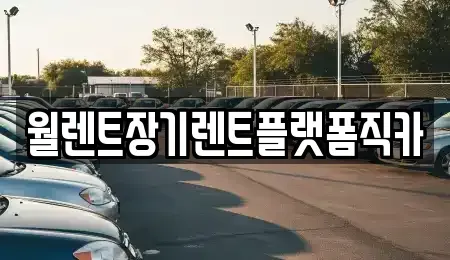 경기도 포천시 신북면 렌트카 전문 월렌트장기렌트플랫폼직카