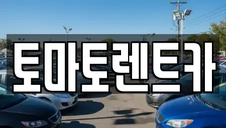 경기도 포천시 신북면 렌트카 전문 토마토렌트카