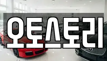 경기도 포천시 신북면 중고차 전문 오토스토리