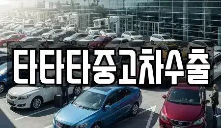 경기도 포천시 신북면 중고차 전문 타타타중고차수출