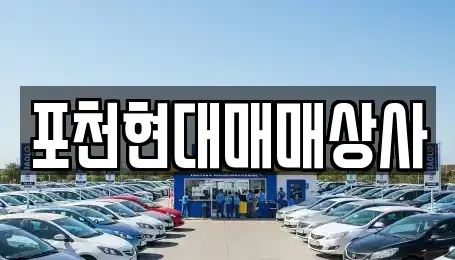 경기도 포천시 신북면 중고차 전문 포천현대매매상사
