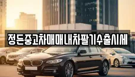 경기도 포천시 신북면 중고차매매 전문 정든중고차매매내차팔기수출시세