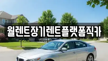 경기도 하남시 상사창동 렌트카 전문 월렌트장기렌트플랫폼직카