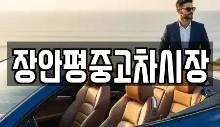 경기도 하남시 상사창동 중고차 전문 장안평중고차시장