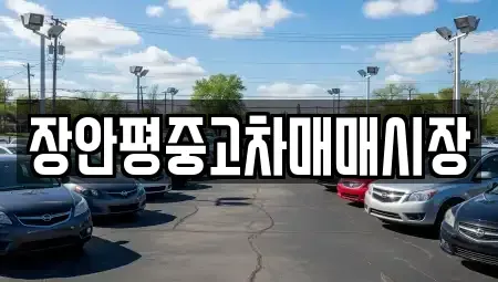 경기도 하남시 창우동 중고차 전문 장안평중고차매매시장