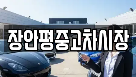경기도 하남시 창우동 중고차매매 전문 장안평중고차시장