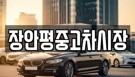 경기도 하남시 학암동 중고차 전문 장안평중고차시장