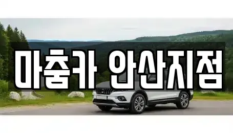 경기도 화성시 새솔동 단기렌트카 전문 마춤카 안산지점