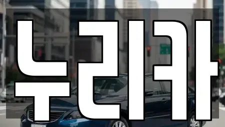경기도 화성시 새솔동 렌트카 전문 누리카