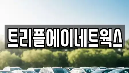 경기도 화성시 새솔동 렌트카,단기렌트카,장기렌트카,중고차,중고차매매,중고차매입
