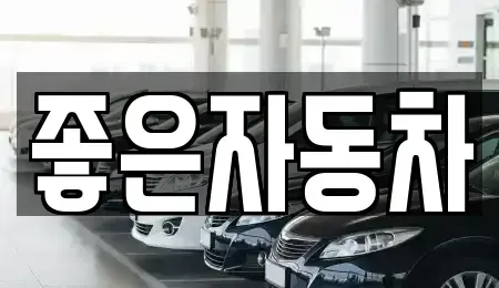 경기도 화성시 새솔동 중고차 전문 좋은자동차